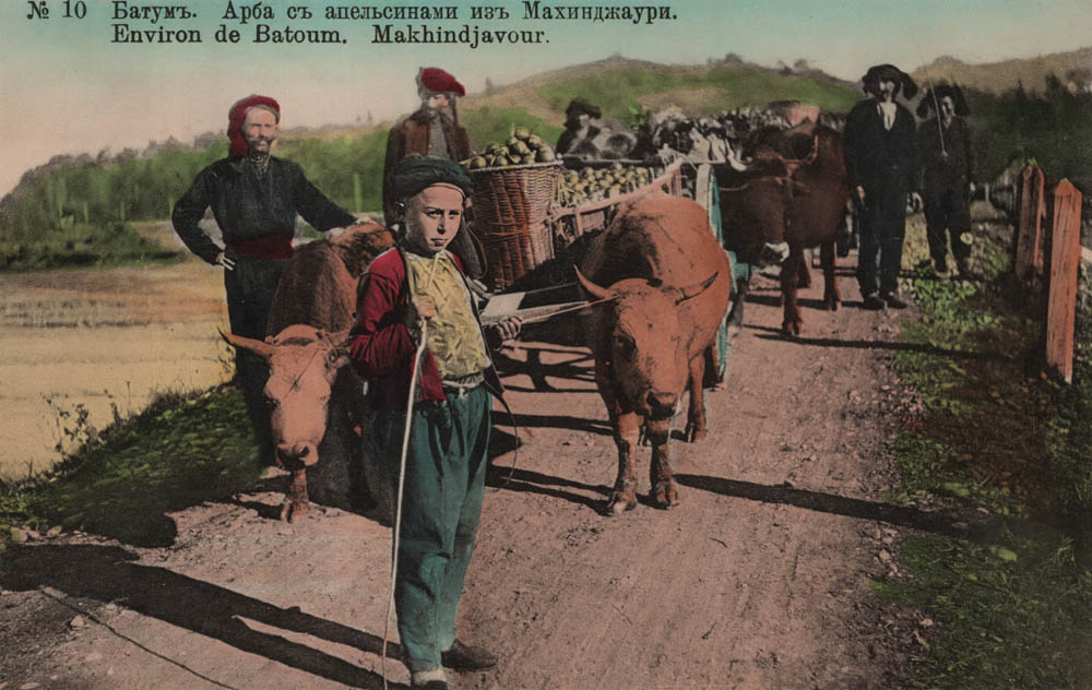 02519_Batumi_Cart_with_oranges_from_Makhinjauri